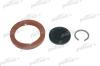 PATRON P18-0013 (P180013) Repair Kit, manual transmission flange