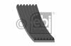 FEBI BILSTEIN 29032 V-Ribbed Belts