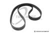 TRUCKTEC AUTOMOTIVE 02.19.166 (0219166) V-Ribbed Belts