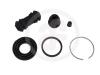 AUTOFREN SEINSA D4667 Repair Kit, brake caliper