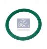 DT 1.10895 (110895) Seal, turbo air hose