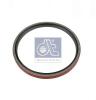 DT 6.20508 (620508) Shaft Seal, crankshaft