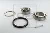 PE Automotive 046.236-00A (04623600A) Repair Kit, wheel hub