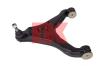 NK 5012359 Track Control Arm