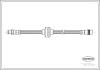 CORTECO 19033564 Brake Hose