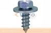 VAICO V10-2021 (V102021) Screw