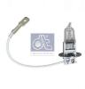 DT 1.21572 (121572) Bulb, fog light