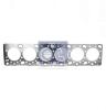 DT 2.10261 (210261) Gasket, cylinder head