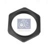 DT 2.65062 (265062) Axle Nut, drive shaft