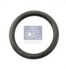 DT 4.20300 (420300) Seal Ring, brake shoe