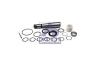 SAMPA 030510 Repair Kit, kingpin