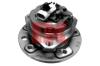 NK 753623 Wheel Bearing Kit