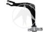 SIDEM 53376 Track Control Arm