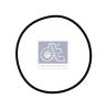 DT 1.24312 (124312) Seal Ring
