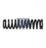 DT 1.25773 (125773) Coil Spring