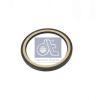 DT 2.10049 (210049) Shaft Seal, crankshaft