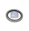 DT 3.10221 (310221) Seal Ring