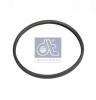 DT 2.15930 (215930) Seal Ring
