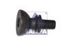 SAMPA 080.056 (080056) Bearing, clutch lever