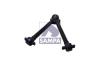 SAMPA 095.281 (095281) Track Control Arm
