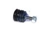 SAMPA 097.165 (097165) Ball Head, gearshift linkage