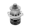 MAGNETI MARELLI 352316170032 Water Pump