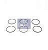 DT 1.10069 (110069) Piston Ring Set, compressor
