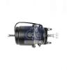 DT 1.18881 (118881) Spring-loaded Cylinder