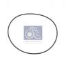 DT 1.24081 (124081) Seal Ring