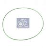 DT 1.24309 (124309) Seal Ring