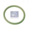 DT 1.24311 (124311) Seal Ring