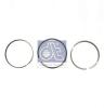 DT 1.33126 (133126) Piston Ring Kit