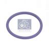 DT 2.11422 (211422) Seal Ring