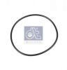 DT 4.20329 (420329) Seal Ring