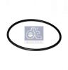 DT 6.89206 (689206) Seal Ring
