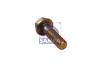 SAMPA 020146 Screw