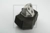 PE Automotive 100.028-00A (10002800A) Engine Mounting