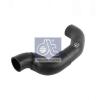 DT 316420 Radiator Hose