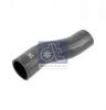DT 480352 Radiator Hose