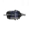 DT 6.64054 (664054) Spring-loaded Cylinder