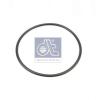 DT 6.21491 (621491) Seal Ring