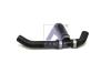 SAMPA 011.388 (011388) Radiator Hose