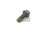 SAMPA 020147 Screw