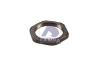 SAMPA 030.243 (030243) Nut, stub axle