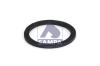 SAMPA 200.223 (200223) Seal, fuel filter