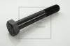 PE Automotive 070.488-00A (07048800A) Screw