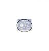 DT 1.10210 (110210) Seal Ring