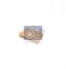 DT 9.69100 (969100) Fuse