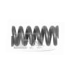 FA1 115-903 (115903) Spring, silencer