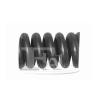 FA1 125-904 (125904) Spring, silencer